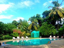 Travel Log - Kairali Ayurvedic Health Resort, Palakkad Kerala - Let Us ...