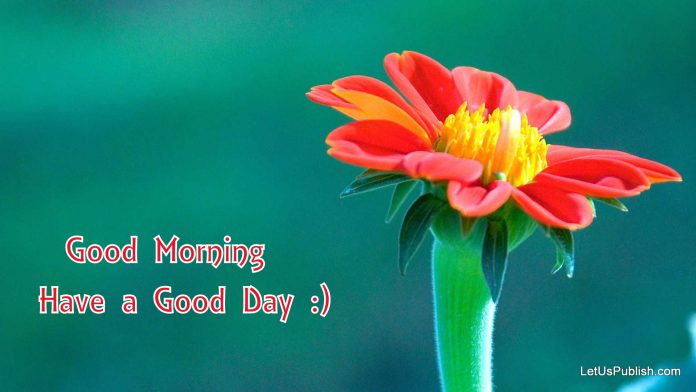 Good Morning Wallpapers Free Download