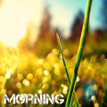 HD Good Morning Wallpapers Free Download