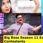 Big Boss Season 11 Expected Contestants Name