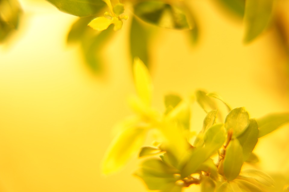 Beautiful Wallpaper Hd Yellow - Follow the vibe and change your